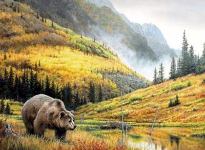 hautman brothers collection by buffalo, rocky mountain grizzly photo rockymountaingrizzly