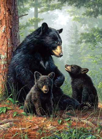 hautman brothers collection by buffalo, bear family photo bearfamily