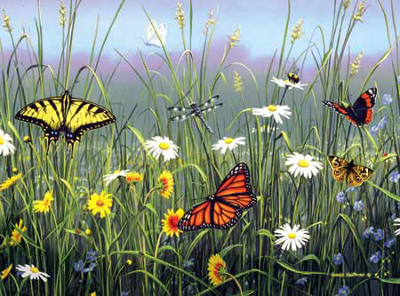 hautman brothers collection by buffalo, butterflies & flowers photo butterfliesflowers