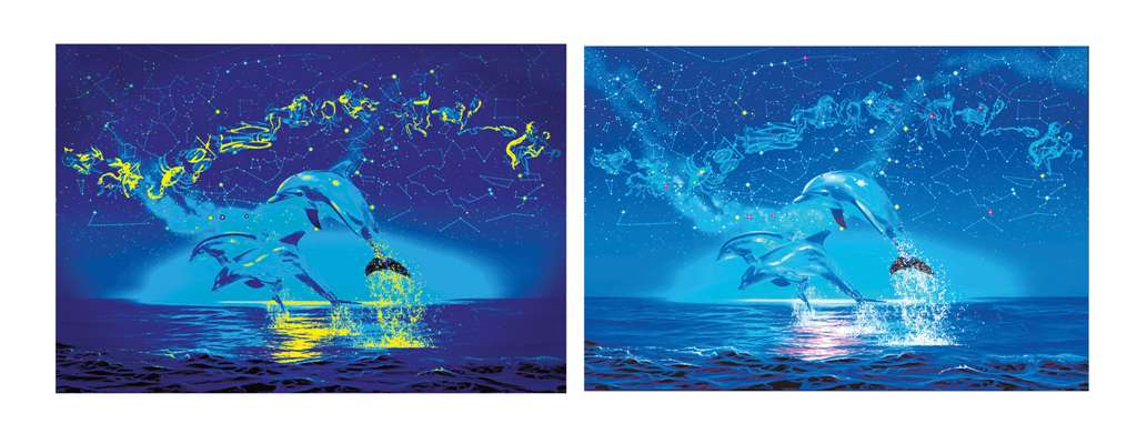 clementoni jigsaw puzzle, 1000 pieces, painting of dolphins under the zodiac by christian risse lass zodiac-dolphins-fluorescent