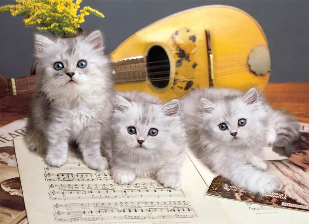 musical cats clementoni jigsaw puzzle 1000 pieces on a sheet of music musician-cats