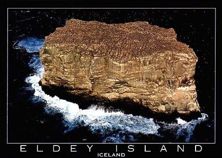 Eldey Island Iceland photographed by Yann Arthus Bertrand UNESCO Biosphere Series Educa 1000 made in eldey-island-iceland