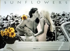 Sunflowers photograph by S. Maxwell by educa made in spain 1000 piece jigsaw puzzle black and white sunflowers-black-white-series
