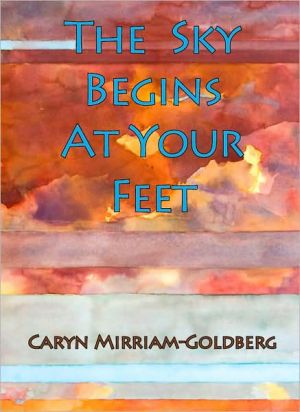 Sky Begins at Your Feet written by Caryn Mirriam-Goldberg