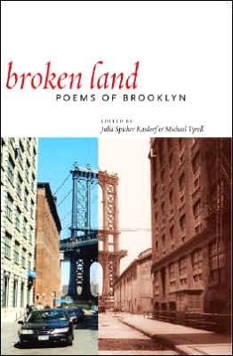 Broken Land: Poems of Brooklyn written by Michael Tyrell