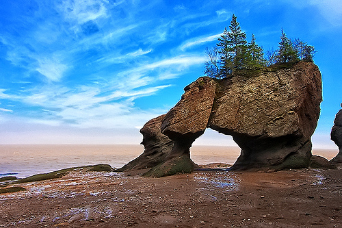 Bay of Fundy Poster