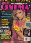 Adult Cinema Review April 1993 magazine back issue cover image