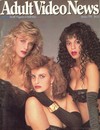 AVN (Adult Video News) January 1990 magazine back issue cover image