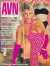 AVN (Adult Video News) November 1993 magazine back issue cover image