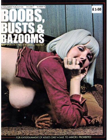 Boobs, Busts & Bazooms Vol. 1 # 6 magazine back issue Boobs, Busts & Bazooms magizine back copy 