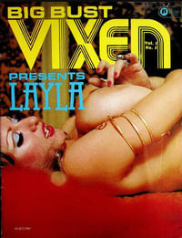 Big Bust Vixen Vol. 1 # 2 magazine back issue