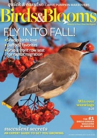 Birds & Blooms October/November 2016 Magazine Back Copies Magizines Mags