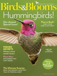 Birds & Blooms June/June 2019 Magazine Back Copies Magizines Mags