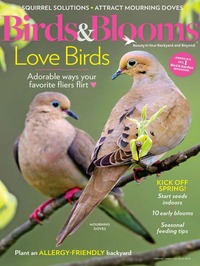 Birds & Blooms February/March 2021 magazine back issue cover image