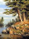 Deer and Pines, 1000 Piece Jigsaw Puzzle Made by Buffalo