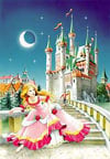 1000 pieces jigsaw puzzle by castorland, cinderella