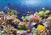 1000 pieces jigsaw puzzle by castorland, coral reef fishes Puzzle