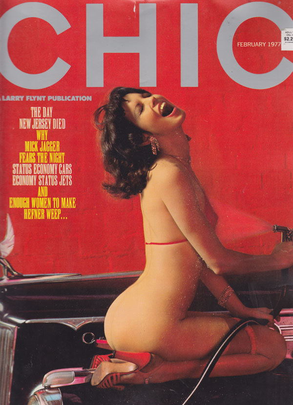 Chic February 1977 magazine back issue Chic magizine back copy chic magazine 1977 back issues red hot erotic pictorials wet pussy pix naughty skimpy photos 70s por