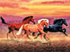 Horses, 1000 Piece Jigsaw Puzzle Made by Clementoni