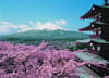 mount fuji mountfuji fuji-yama japan fujiama japon mountain jigsaw puzzle 1000 pieces 30764 clemento