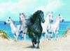 2000Piece Jigsaw Puzzle ClementoniPuzzles Dream Horses photographic fantasy image tropical