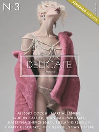 Delicate # 3 magazine back issue