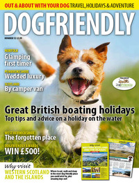 DogFriendly March/April 2019 Magazine Back Copies Magizines Mags