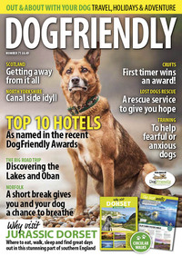DogFriendly May/June 2022 Magazine Back Copies Magizines Mags