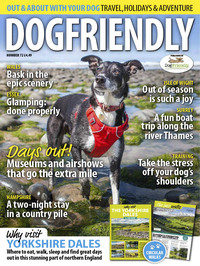 DogFriendly July/August 2022 Magazine Back Copies Magizines Mags