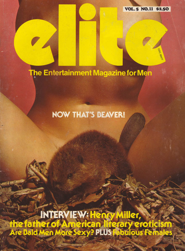 Elite November 1979 magazine back issue Elite magizine back copy elite magazine 1979 back issues hot 70s pornstars nude beaver hunt adult entertainment xxx sex pics