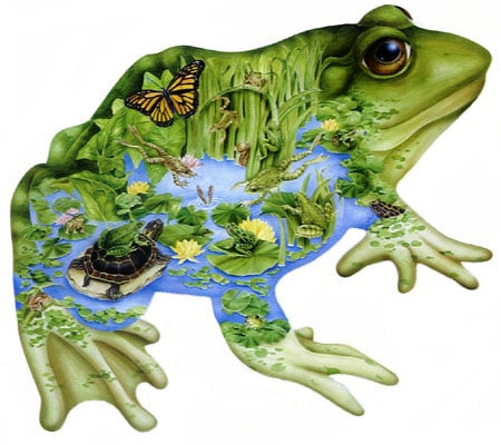 frog shaped painting by janet skiles, fx schmidt jigsaw puzzles princeofthepond