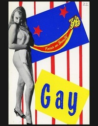 Gay # 22 magazine back issue