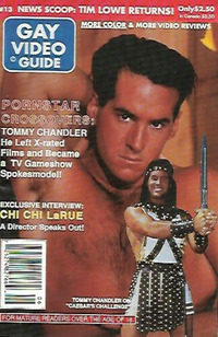 Gay Video Guide # 13 magazine back issue