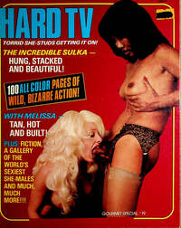 Hard TV # 19 magazine back issue
