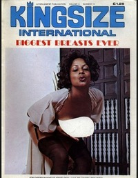 Kingsize International Vol. 4 # 11 magazine back issue cover image