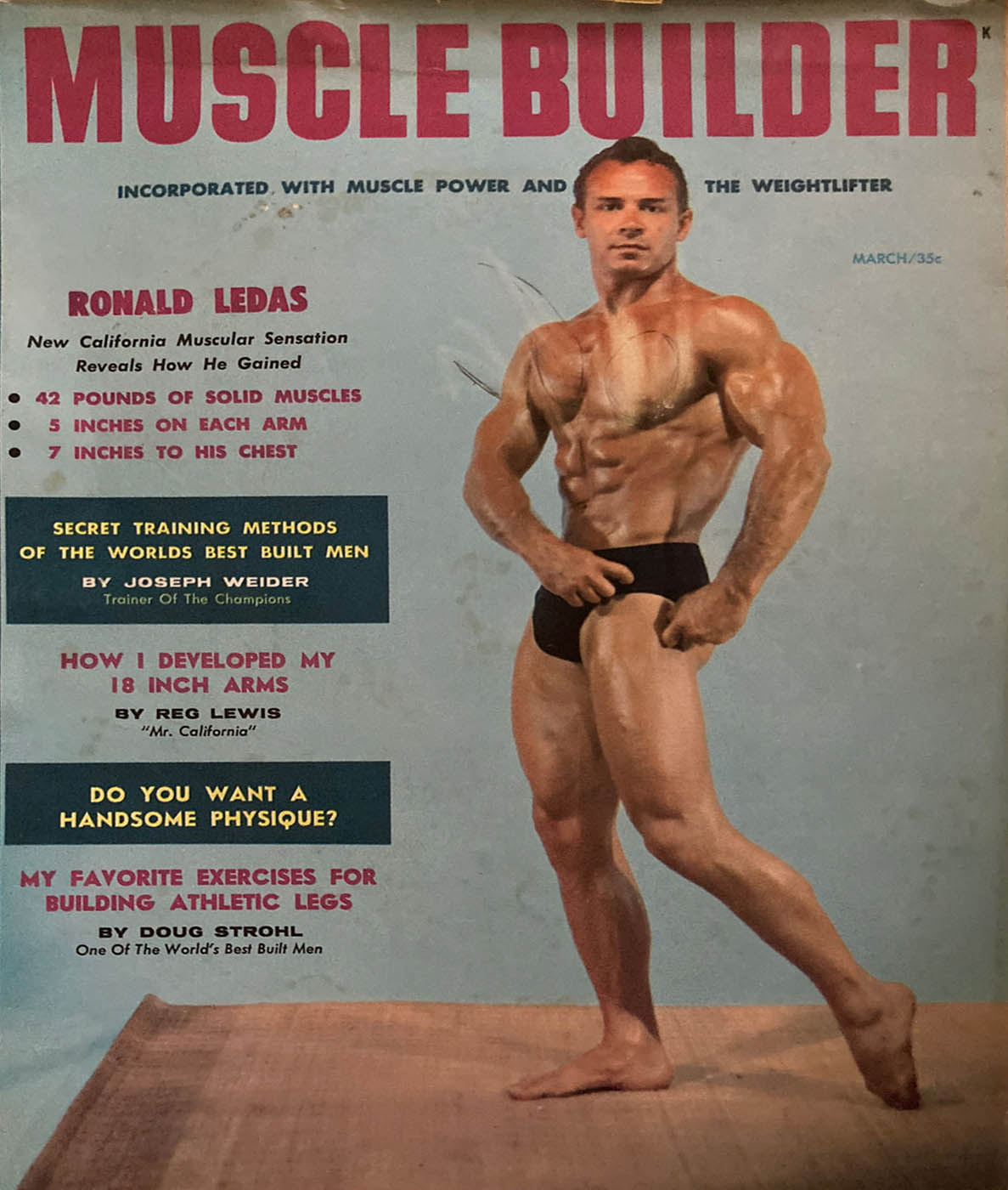 Muscle & Fitness March 1958, Muscle Builder