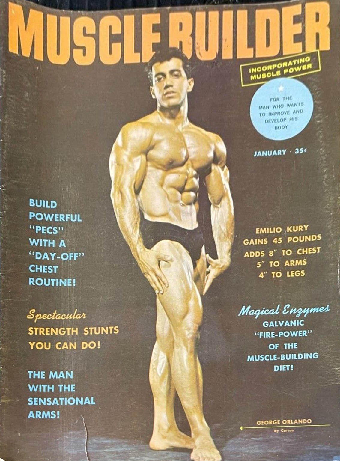 Muscle & Fitness January 1959, Muscle Builder