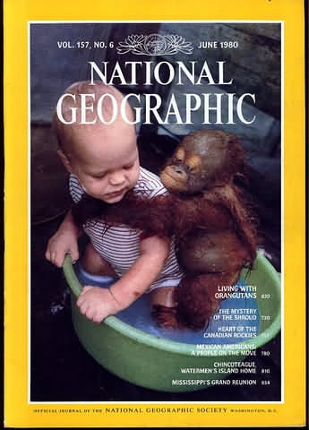 National Geographic June 1980 magazine back issue National Geographic magizine back copy National Geographic June 1980 Nat Geo Magazine Back Issue Published by the National Geographic Society. Living With Orangutans.
