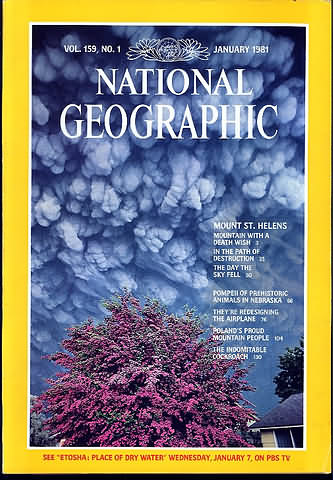 National Geographic January 1981 magazine back issue National Geographic magizine back copy National Geographic January 1981 Nat Geo Magazine Back Issue Published by the National Geographic Society. Mount St. Helens.