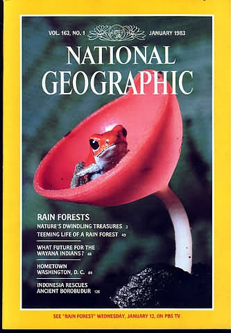 National Geographic January 1983 magazine back issue National Geographic magizine back copy National Geographic January 1983 Nat Geo Magazine Back Issue Published by the National Geographic Society. Rain Forests Nature's Dwindling Treasures Teeming Life Of A Rain Forest.