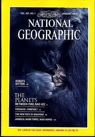 National Geographic January 1985 magazine back issue National Geographic magizine back copy National Geographic January 1985 Nat Geo Magazine Back Issue Published by the National Geographic Society. Koko's Kitten.