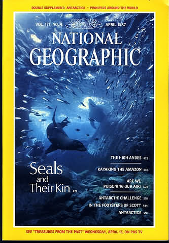National Geographic April 1987 magazine back issue National Geographic magizine back copy National Geographic April 1987 Nat Geo Magazine Back Issue Published by the National Geographic Society. Seals And Their Kin.