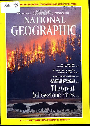 National Geographic February 1989 magazine back issue National Geographic magizine back copy National Geographic February 1989 Nat Geo Magazine Back Issue Published by the National Geographic Society. Skyscrapers: Above The Crowd.