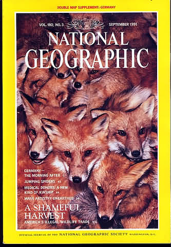 National Geographic September 1991 magazine back issue National Geographic magizine back copy National Geographic September 1991 Nat Geo Magazine Back Issue Published by the National Geographic Society. Germany-The Morning After.