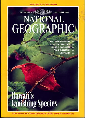 National Geographic September 1995 magazine back issue National Geographic magizine back copy National Geographic September 1995 Nat Geo Magazine Back Issue Published by the National Geographic Society. The Dawn Of Humans.