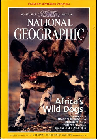 National Geographic May 1999 magazine back issue National Geographic magizine back copy National Geographic May 1999 Nat Geo Magazine Back Issue Published by the National Geographic Society. Africa's Wild Dogs.