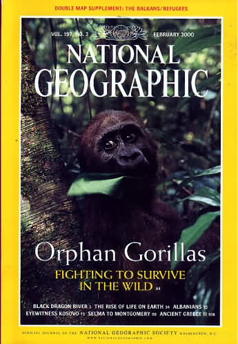 National Geographic February 2000 magazine back issue National Geographic magizine back copy National Geographic February 2000 Nat Geo Magazine Back Issue Published by the National Geographic Society. Orphan Gorillas Fighting To Survive In The Wild.