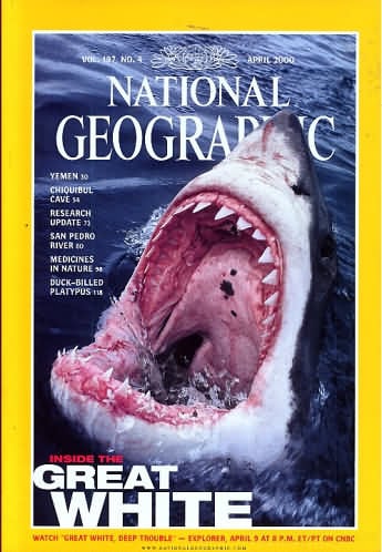 National Geographic April 2000 magazine back issue National Geographic magizine back copy National Geographic April 2000 Nat Geo Magazine Back Issue Published by the National Geographic Society. Yemen 30 Chiquibul Cave 54.