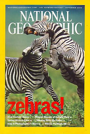 National Geographic September 2003 magazine back issue National Geographic magizine back copy National Geographic September 2003 Nat Geo Magazine Back Issue Published by the National Geographic Society. Zebras! 21st-Century Strias.