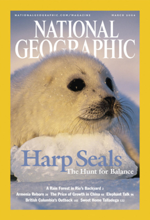 National Geographic March 2004 magazine back issue National Geographic magizine back copy National Geographic March 2004 Nat Geo Magazine Back Issue Published by the National Geographic Society. Harp Seals The Hunt For Balance.